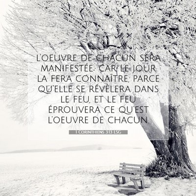 Picture 07 - 1 Corinthiens 3:13 LSG - l'oeuvre de chacun sera manifestée; car le jour - Bible Verse Picture