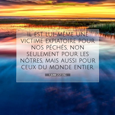 Picture 07 - 1 Jean 2:2 LSG - Il est lui-même une victime expiatoire pour nos - Bible Verse Picture