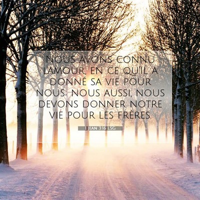 Picture 07 - 1 Jean 3:16 LSG - Nous avons connu l'amour, en ce qu'il a donné sa - Bible Verse Picture