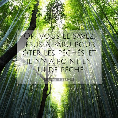 Picture 07 - 1 Jean 3:5 LSG - Or, vous le savez, Jésus a paru pour ôter les - Bible Verse Picture