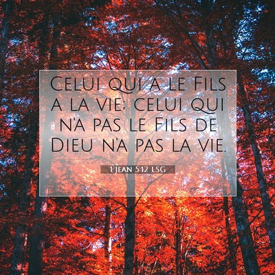Picture 07 - 1 Jean 5:12 LSG - Celui qui a le Fils a la vie; celui qui n'a pas - Bible Verse Picture