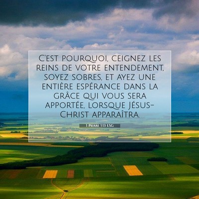 Picture 07 - 1 Pierre 1:13 LSG - C'est pourquoi, ceignez les reins de votre - Bible Verse Picture
