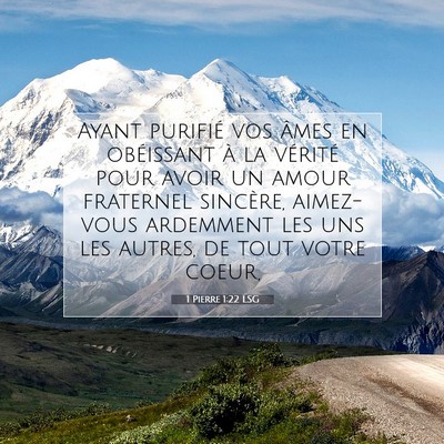 Picture 07 - 1 Pierre 1:22 LSG - Ayant purifié vos âmes en obéissant à la - Bible Verse Picture