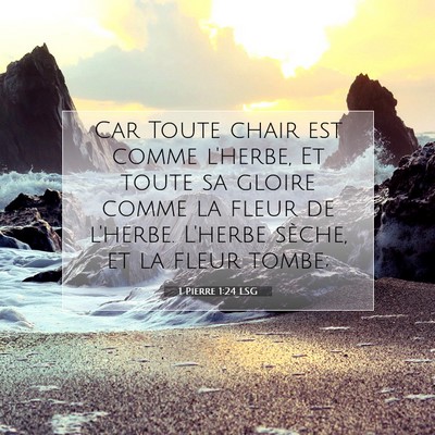 Picture 07 - 1 Pierre 1:24 LSG - Car Toute chair est comme l'herbe, Et toute sa - Bible Verse Picture