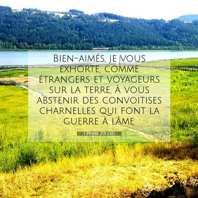 Picture 07 - 1 Pierre 2:11 LSG - Bien-aimés, je vous exhorte, comme étrangers et - Bible Verse Picture