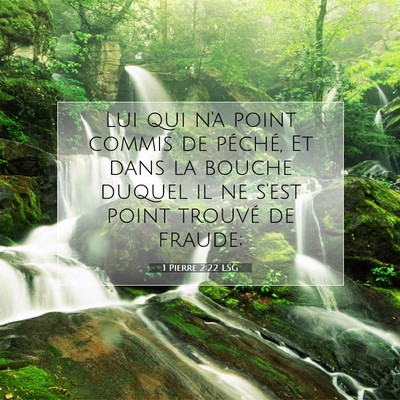 Picture 07 - 1 Pierre 2:22 LSG - Lui qui n'a point commis de péché, Et dans la - Bible Verse Picture
