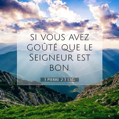 Picture 07 - 1 Pierre 2:3 LSG - si vous avez goûté que le Seigneur est - Bible Verse Picture
