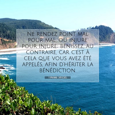 Picture 07 - 1 Pierre 3:9 LSG - Ne rendez point mal pour mal, ou injure pour - Bible Verse Picture