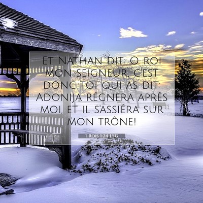 Picture 07 - 1 Rois 1:24 LSG - Et Nathan dit: O roi mon seigneur, c'est donc toi - Bible Verse Picture