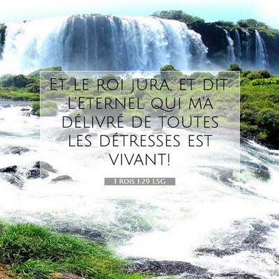 Picture 07 - 1 Rois 1:29 LSG - Et le roi jura, et dit: L'Eternel qui m'a - Bible Verse Picture