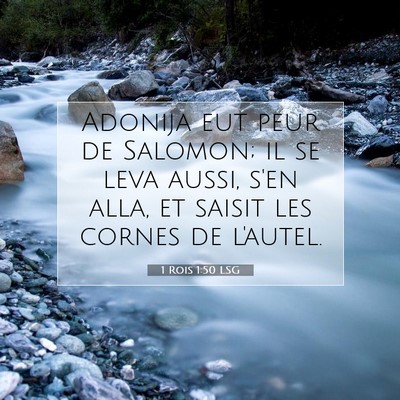 Picture 07 - 1 Rois 1:50 LSG - Adonija eut peur de Salomon; il se leva aussi, - Bible Verse Picture