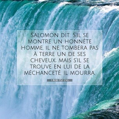 Picture 07 - 1 Rois 1:52 LSG - Salomon dit: S'il se montre un honnête homme, il - Bible Verse Picture