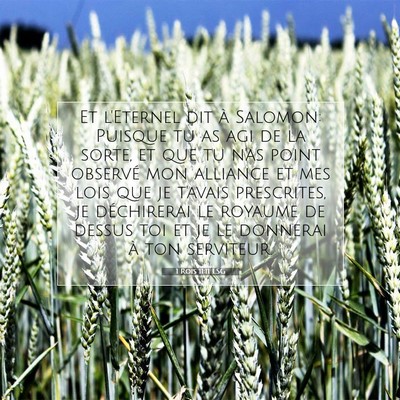 Picture 07 - 1 Rois 11:11 LSG - Et l'Eternel dit à Salomon: Puisque tu as agi de - Bible Verse Picture