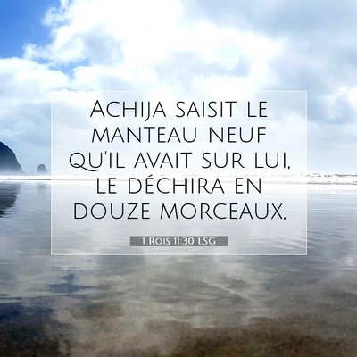 Picture 07 - 1 Rois 11:30 LSG - Achija saisit le manteau neuf qu'il avait sur - Bible Verse Picture