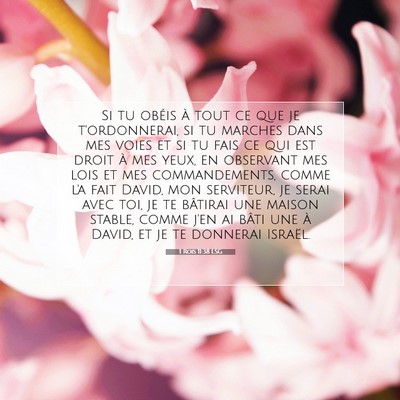 Picture 07 - 1 Rois 11:38 LSG - Si tu obéis à tout ce que je t'ordonnerai, si - Bible Verse Picture