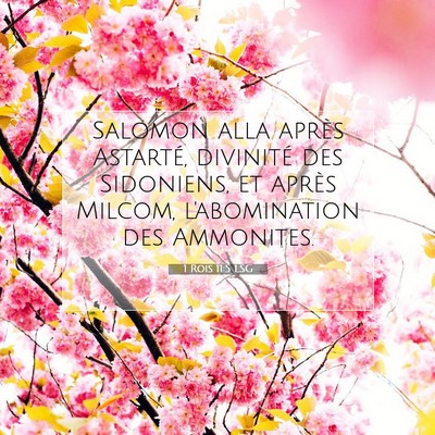 Picture 07 - 1 Rois 11:5 LSG - Salomon alla après Astarté, divinité des - Bible Verse Picture