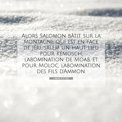 Picture 07 - 1 Rois 11:7 LSG - Alors Salomon bâtit sur la montagne qui est en - Bible Verse Picture