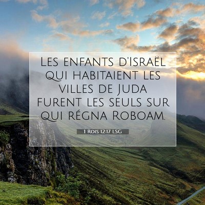 Picture 07 - 1 Rois 12:17 LSG - Les enfants d'Israël qui habitaient les villes - Bible Verse Picture