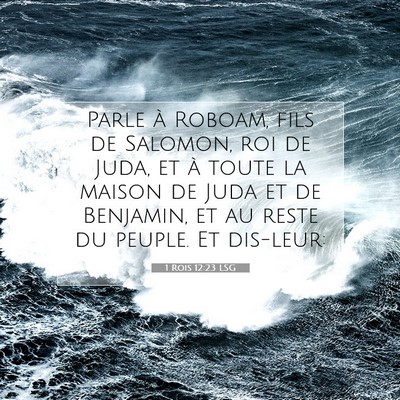 Picture 07 - 1 Rois 12:23 LSG - Parle à Roboam, fils de Salomon, roi de Juda, et - Bible Verse Picture