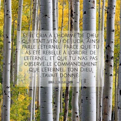 Picture 07 - 1 Rois 13:21 LSG - Et il cria à l'homme de Dieu qui était venu de - Bible Verse Picture