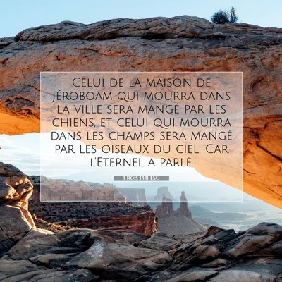 Picture 07 - 1 Rois 14:11 LSG - Celui de la maison de Jéroboam qui mourra dans - Bible Verse Picture