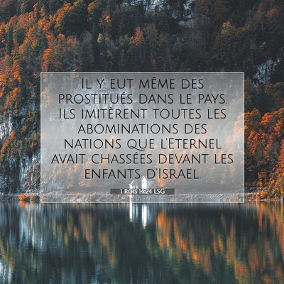 Picture 07 - 1 Rois 14:24 LSG - Il y eut même des prostitués dans le pays. Ils - Bible Verse Picture