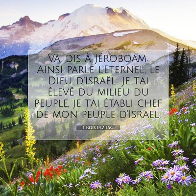 Picture 07 - 1 Rois 14:7 LSG - Va, dis à Jéroboam: Ainsi parle l'Eternel, le - Bible Verse Picture