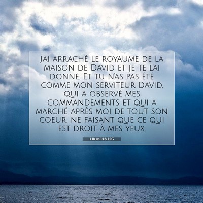 Picture 07 - 1 Rois 14:8 LSG - j'ai arraché le royaume de la maison de David et - Bible Verse Picture