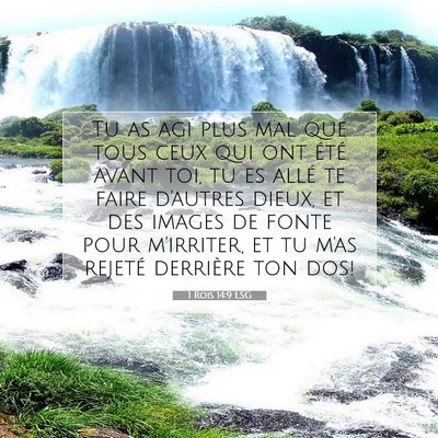 Picture 07 - 1 Rois 14:9 LSG - Tu as agi plus mal que tous ceux qui ont été - Bible Verse Picture