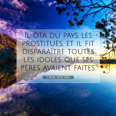 Picture 07 - 1 Rois 15:12 LSG - Il ôta du pays les prostitués, et il fit - Bible Verse Picture