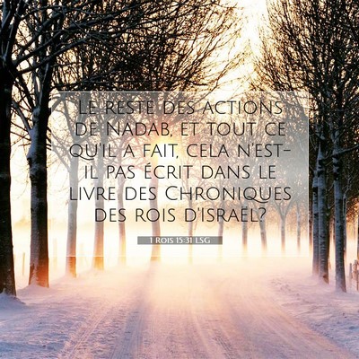 Picture 07 - 1 Rois 15:31 LSG - Le reste des actions de Nadab, et tout ce qu'il a - Bible Verse Picture