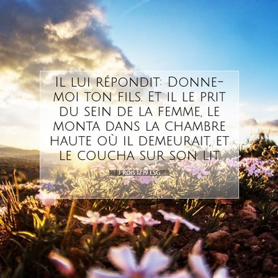 Picture 07 - 1 Rois 17:19 LSG - Il lui répondit: Donne-moi ton fils. Et il le - Bible Verse Picture