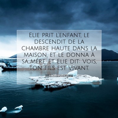 Picture 07 - 1 Rois 17:23 LSG - Elie prit l'enfant, le descendit de la chambre - Bible Verse Picture