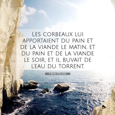 Picture 07 - 1 Rois 17:6 LSG - Les corbeaux lui apportaient du pain et de la - Bible Verse Picture