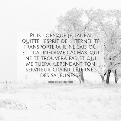 Picture 07 - 1 Rois 18:12 LSG - Puis, lorsque je t'aurai quitté l'esprit de - Bible Verse Picture