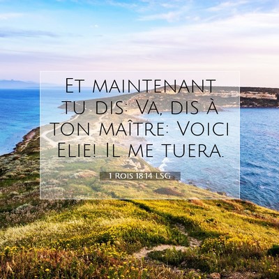 Picture 07 - 1 Rois 18:14 LSG - Et maintenant tu dis: Va, dis à ton maître: - Bible Verse Picture