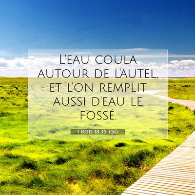 Picture 07 - 1 Rois 18:35 LSG - L'eau coula autour de l'autel, et l'on remplit - Bible Verse Picture