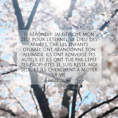 Picture 07 - 1 Rois 19:10 LSG - Il répondit: J'ai déployé mon zèle pour - Bible Verse Picture