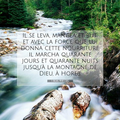 Picture 07 - 1 Rois 19:8 LSG - Il se leva, mangea et but; et avec la force que - Bible Verse Picture
