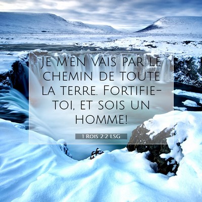 Picture 07 - 1 Rois 2:2 LSG - Je m'en vais par le chemin de toute la terre. - Bible Verse Picture