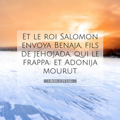 Picture 07 - 1 Rois 2:25 LSG - Et le roi Salomon envoya Benaja, fils de - Bible Verse Picture