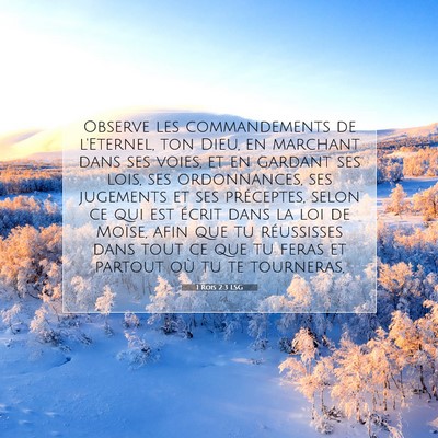 Picture 07 - 1 Rois 2:3 LSG - Observe les commandements de l'Eternel, ton Dieu, - Bible Verse Picture