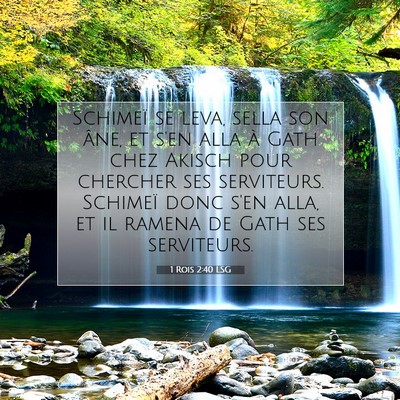 Picture 07 - 1 Rois 2:40 LSG - Schimeï se leva, sella son âne, et s'en alla à - Bible Verse Picture