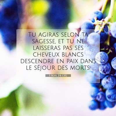 Picture 07 - 1 Rois 2:6 LSG - Tu agiras selon ta sagesse, et tu ne laisseras - Bible Verse Picture