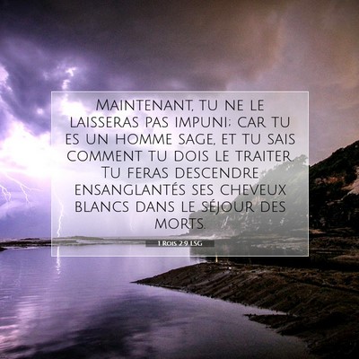 Picture 07 - 1 Rois 2:9 LSG - Maintenant, tu ne le laisseras pas impuni; car tu - Bible Verse Picture