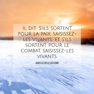 Picture 07 - 1 Rois 20:18 LSG - Il dit: S'ils sortent pour la paix, saisissez-les - Bible Verse Picture