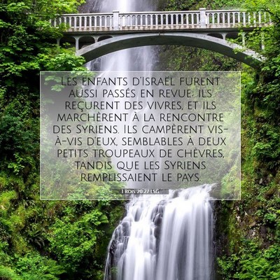 Picture 07 - 1 Rois 20:27 LSG - Les enfants d'Israël furent aussi passés en - Bible Verse Picture