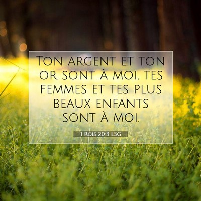 Picture 07 - 1 Rois 20:3 LSG - Ton argent et ton or sont à moi, tes femmes et - Bible Verse Picture