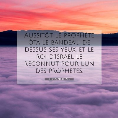 Picture 07 - 1 Rois 20:41 LSG - Aussitôt le prophète ôta le bandeau de dessus - Bible Verse Picture