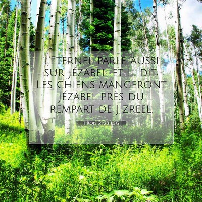 Picture 07 - 1 Rois 21:23 LSG - L'Eternel parle aussi sur Jézabel, et il dit: - Bible Verse Picture